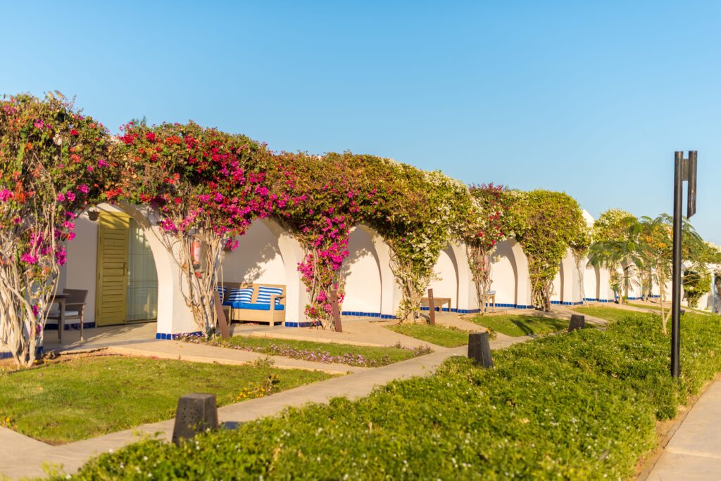 touristic apartment in Portugal